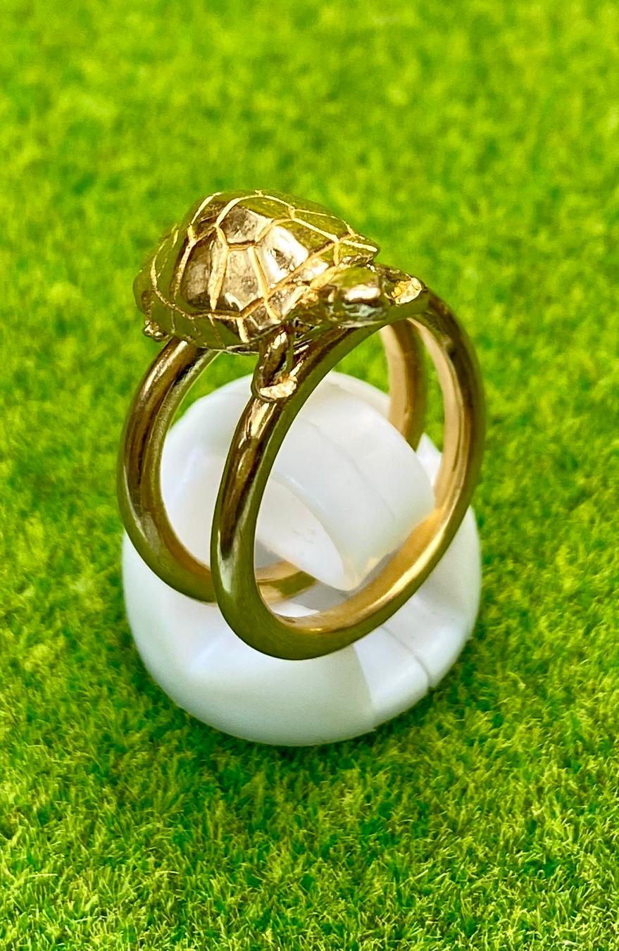 コイルリングの上にイシガメ　ロジウムメッキ仕様　＃９